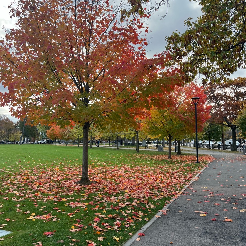 Meet your Posher, Erin